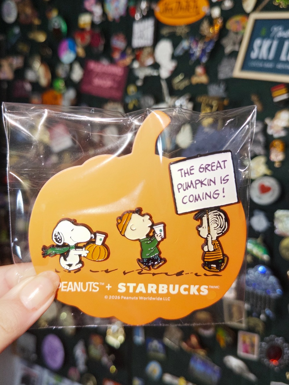Starbucks Orange Pumpkin Peanuts PINS
